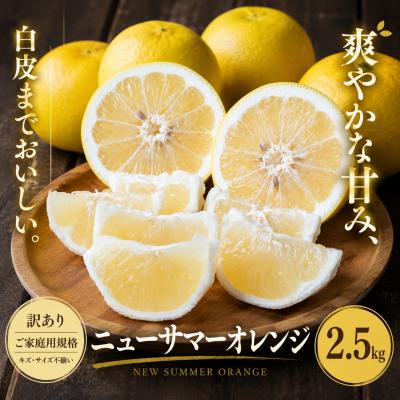 ふるさと納税 西予市 <訳あり 愛媛県産ニューサマーオレンジ 合計約2.5kg>日向夏 小夏 甘い ご家庭用 果汁