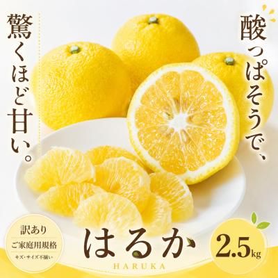 ふるさと納税 西予市 <訳あり 愛媛県産はるか 合計約2.5kg>上品な甘さ 甘い あまい 果汁 家庭用