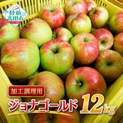 ふるさと納税 陸前高田市 [先行受付] 加工調理用 りんご ジョナゴールド 約12kg 家庭用 訳あり リンゴ 果物 大容量