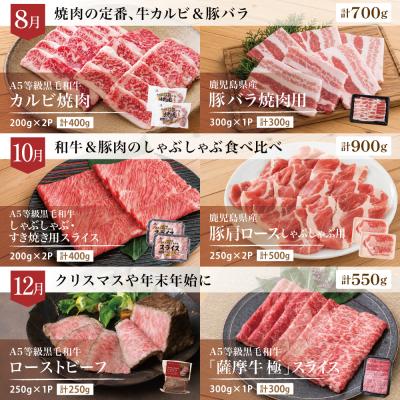 ふるさと納税 南さつま市 【定期便 全6回】情熱牧場 鹿児島県産お肉の定期便 シーズンセレクト |  | 03