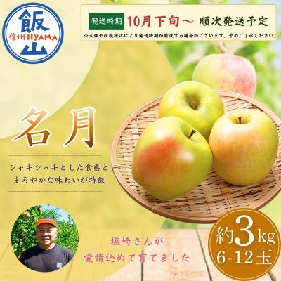 ふるさと納税 飯山市 [先行予約]名月(めいげつ)[約3kg(6〜12玉)]│ 塩崎農園