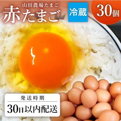 ふるさと納税 関市 [期間限定30日以内発送!]山田農場たまごの赤たまご30個(27個+割れ保証3個)冷蔵
