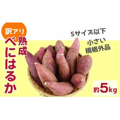 ふるさと納税 臼杵市 [先行受付]小さい 訳アリ 臼杵市野津町産 べにはるか 5kg さつまいも[12月より発送]