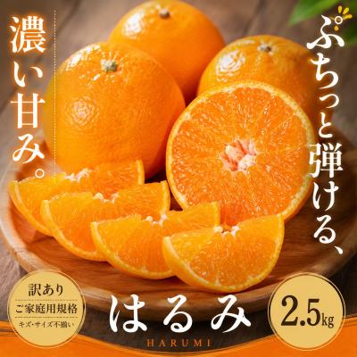 ふるさと納税 西予市 <訳あり 愛媛県産はるみ 合計約2.5kg>甘い ご家庭用 果汁 果物 愛媛