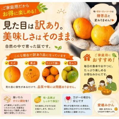 ふるさと納税 西予市 <訳あり 愛媛県産はるみ 合計約2.5kg>甘い ご家庭用 果汁 果物 愛媛 |  | 01