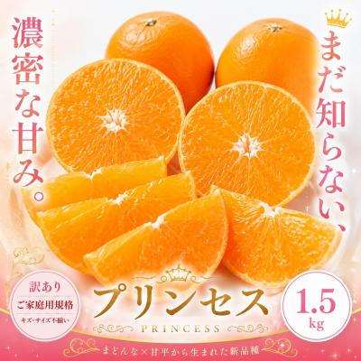 ふるさと納税 西予市 <訳あり 愛媛県産プリンセス 合計約1.5kg>幻の柑橘 希少種 甘い 人気柑橘 愛媛