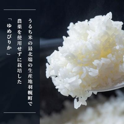 ふるさと納税 羽幌町 【2026年産新米】【定期便:全6回】ゆめぴりか5kg(無化学肥料・農薬不使用) |  | 01