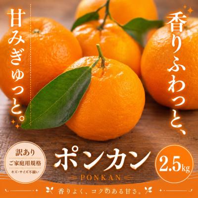 ふるさと納税 西予市 <訳あり 愛媛県産ポンカン 合計約2.5kg>ジューシー 甘い ご家庭用 愛媛