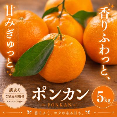 ふるさと納税 西予市 <訳あり 愛媛県産ポンカン 合計約5kg>ジューシー 甘い ご家庭用 愛媛果物 くだもの