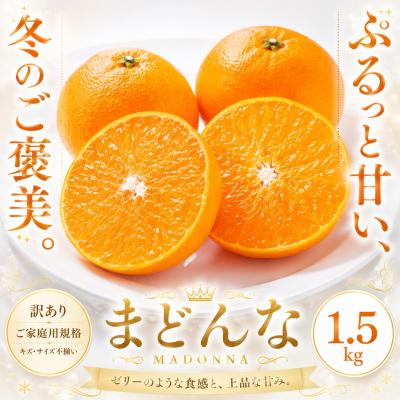 ふるさと納税 西予市 <訳あり 愛媛県産まどんな 合計約1.5kg>マドンナ ぷるぷる 食感 甘いご家庭用 果汁