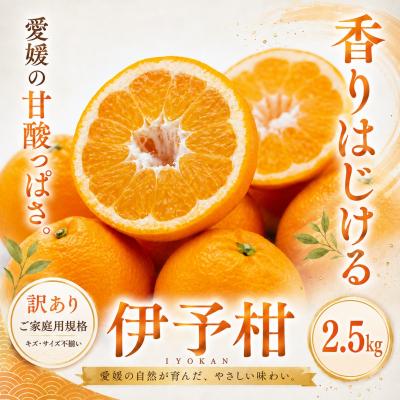 ふるさと納税 西予市 <訳あり 愛媛県産伊予柑 合計約2.5kg>爽やか いよかん ジューシー 甘い 果物 くだもの