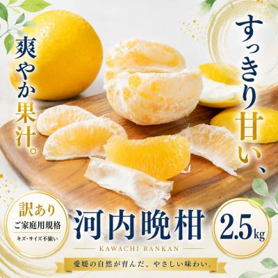ふるさと納税 西予市 <訳あり 愛媛県産河内晩柑 合計約2.5kg>かわちばんかん ジューシー果汁 果物