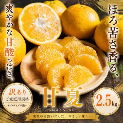 ふるさと納税 西予市 <訳あり 愛媛県産甘夏 合計約2.5kg>あまなつ 甘酸っぱいご家庭用 果汁 果物
