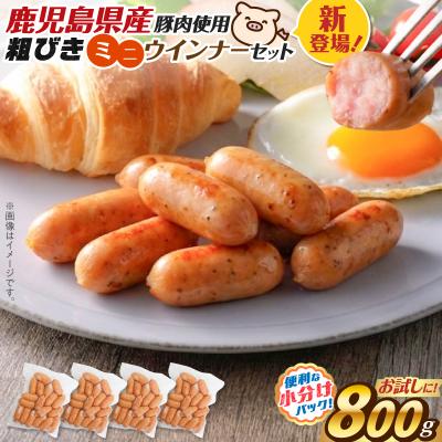 ふるさと納税 鹿児島市 一口でぱくっとミニウインナー 200g×4P K161-030_01