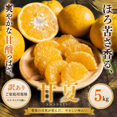 ふるさと納税 西予市 <訳あり 愛媛県産甘夏 合計約5kg>あまなつ 甘酸っぱいご家庭用 果汁 果物フルーツ