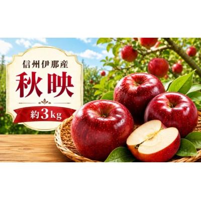 ふるさと納税 伊那市 信州伊那産 りんご 秋映 約3kg