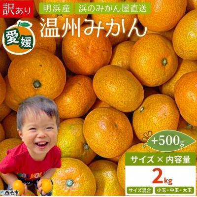 ふるさと納税 西予市 +500g<訳あり 温州みかん 約2kg> 家庭用 小玉 中玉 大玉 明浜産 果物