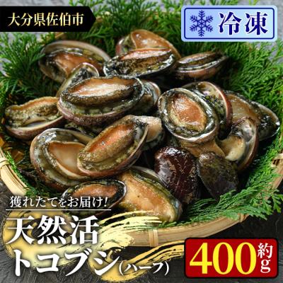 ふるさと納税 佐伯市 冷凍 天然活きトコブシ (約400g・ハーフサイズ)