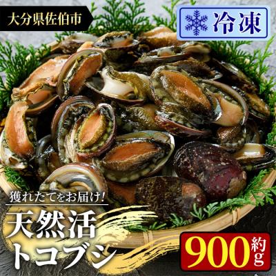 ふるさと納税 佐伯市 冷凍 天然活きトコブシ (約900g)