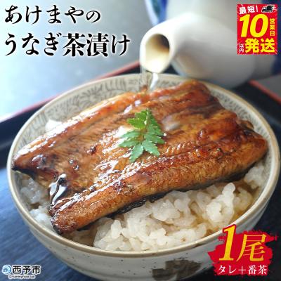 ふるさと納税 西予市 <あけまやのうなぎ茶漬け 1尾(約100g)+タレ+番茶>うなぎ 真空パック 鰻 名水百選 湧水