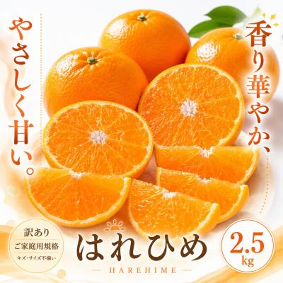 ふるさと納税 西予市 <訳あり 愛媛県産はれひめ 合計約2.5kg>甘い あまい 果汁 果物 柑橘 人気柑橘 愛媛