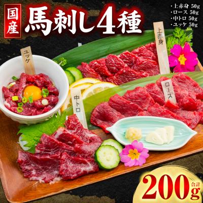ふるさと納税 八代市 国産 馬刺し 4種 計200g ( 上赤身 ロース 中トロ ユッケ 各50g )