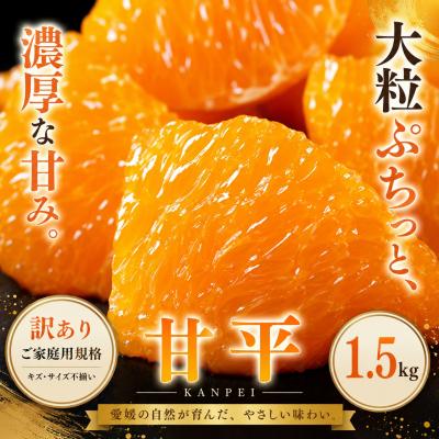 ふるさと納税 西予市 <訳あり 愛媛県産甘平 合計約1.5kg>かんぺい 希少種 ご家庭用柑橘 人気柑橘 愛媛県
