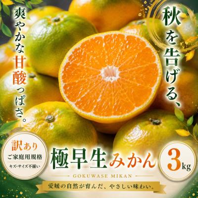 ふるさと納税 西予市 <訳あり 愛媛県産極早生みかん 合計約3kg>ご家庭用 果汁 果物 人気柑橘 愛媛県