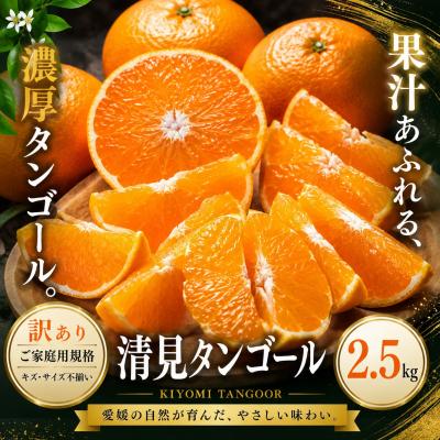 ふるさと納税 西予市 <訳あり 愛媛県産清見タンゴール 合計約2.5kg>濃厚 甘い ご家庭用 果汁 果物 愛媛