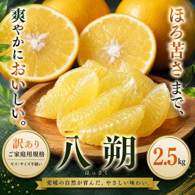 ふるさと納税 西予市 <訳あり 愛媛県産八朔 合計約2.5kg>果汁 果物 はっさく人気柑橘 特産品 愛媛