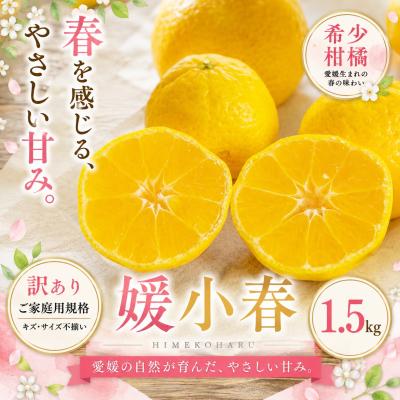 ふるさと納税 西予市 <訳あり 愛媛県産媛小春 合計約1.5kg>ひめこはる 希少種ご家庭用 果汁 果物 くだもの