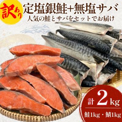 ふるさと納税 石巻市 [訳あり] 定塩銀鮭 約 1kg・無塩サバフィレ 約 1kg 切り身 セット 合計 2kg