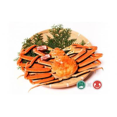 ふるさと納税 境港市 <土日祝着※指定日不可2026年11月〜2027年2月下旬発送予定>[タグ付]活〆ボイル松葉蟹2杯