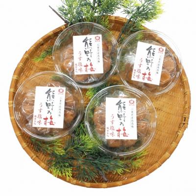 ふるさと納税 熊野市 梅干し 熊野乃梅「うす塩」小分け4パックセット