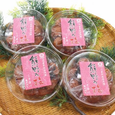 ふるさと納税 熊野市 梅干し 熊野乃梅「しそ漬け」小分け4パックセット
