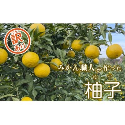 ふるさと納税 愛南町 先行受付[訳あり]みかん職人の柚子(ゆず)3kg 柑橘 果物 フルーツ みかん職人武田屋