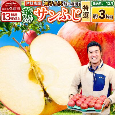 ふるさと納税 弘前市 [26年12月発送]りんご 葉とらずサンふじ[特選]約3kg|24_tgn-110301