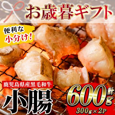ふるさと納税 いちき串木野市 [お歳暮]鹿児島県産黒毛和牛の小腸 ホルモン 300g×2P