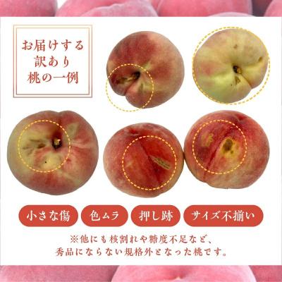 ふるさと納税 甲府市 〈2027年度配送分〉甲府市産 訳あり桃 約2kg(4〜8玉) |  | 02