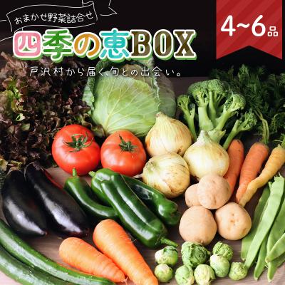 ふるさと納税 戸沢村 野菜詰合せ 農家のおまかせ 四季の恵BOX 4〜6品 旬の野菜を1回お届け F7W-0499 | 