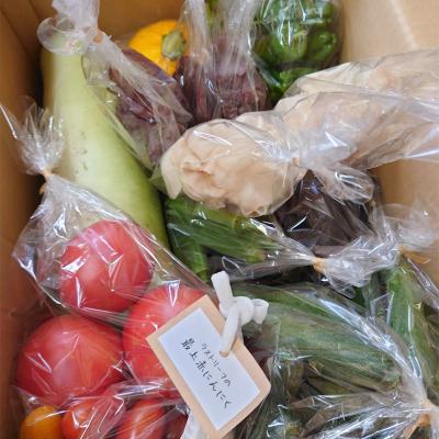 ふるさと納税 戸沢村 野菜詰合せ 農家のおまかせ 四季の恵BOX 4〜6品 旬の野菜を1回お届け F7W-0499 |  | 01
