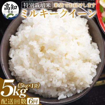 ふるさと納税 香南市 [6回定期便]特別栽培米 ミルキークイーン 5kg 令和8年産 Wsr-0006