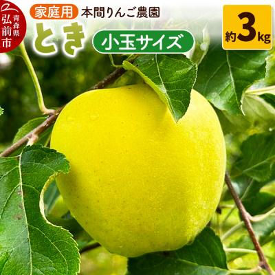 ふるさと納税 弘前市 りんご[26年10月発送]とき[家庭用]約3kg 小玉 先行受付|24_hrn-010301