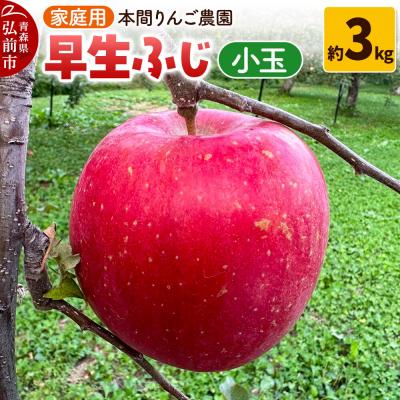 ふるさと納税 弘前市 りんご 早生ふじ(ひろさきふじ)[家庭用]約3kg 小玉 先行受付|24_hrn-020301
