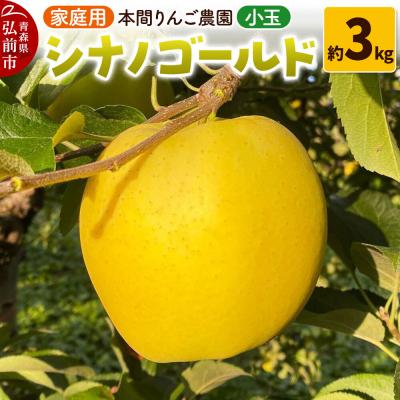 ふるさと納税 弘前市 りんご シナノゴールド[家庭用]約3kg 小玉 先行受付|24_hrn-030301