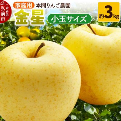 ふるさと納税 弘前市 りんご[26年12月発送]金星[家庭用]約3kg 小玉 先行受付|24_hrn-050301