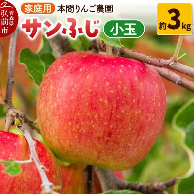 ふるさと納税 弘前市 りんご[26年12月発送]サンふじ[家庭用]約3kg 小玉 先行受付|24_hrn-060301