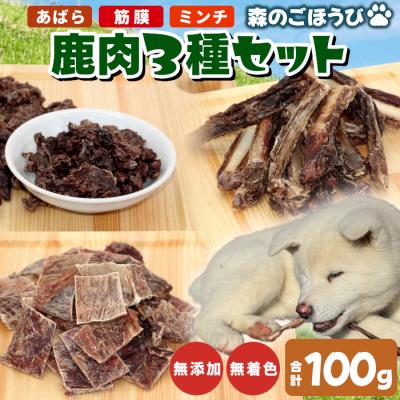 ふるさと納税 設楽町 無添加 国産 鹿肉 3種セット 計100g 犬 猫 ペットフード ペット おやつ 骨 ジャーキー