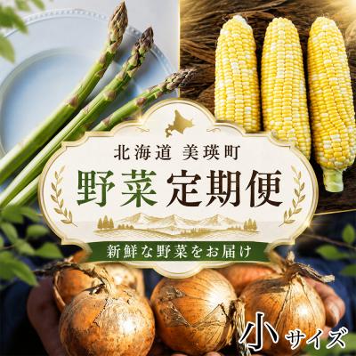 ふるさと納税 美瑛町 [発送月固定定期便]令和9年産 本山農場の野菜定期便 3回便(小)