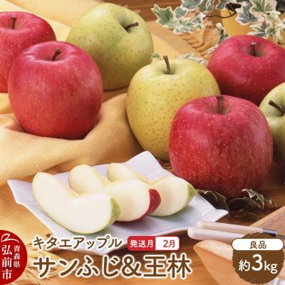 ふるさと納税 弘前市 りんご[27年2月発送]サンふじ・王林[良品]約3kg 先行受付|24_kta-040301b